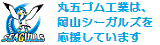 岡山シーガルズ